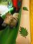 Click to enlarge images/resized/images/stories/highslide//naduvaemi/025_68_90.jpg